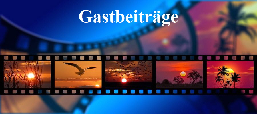 Bild: gastbeitraege