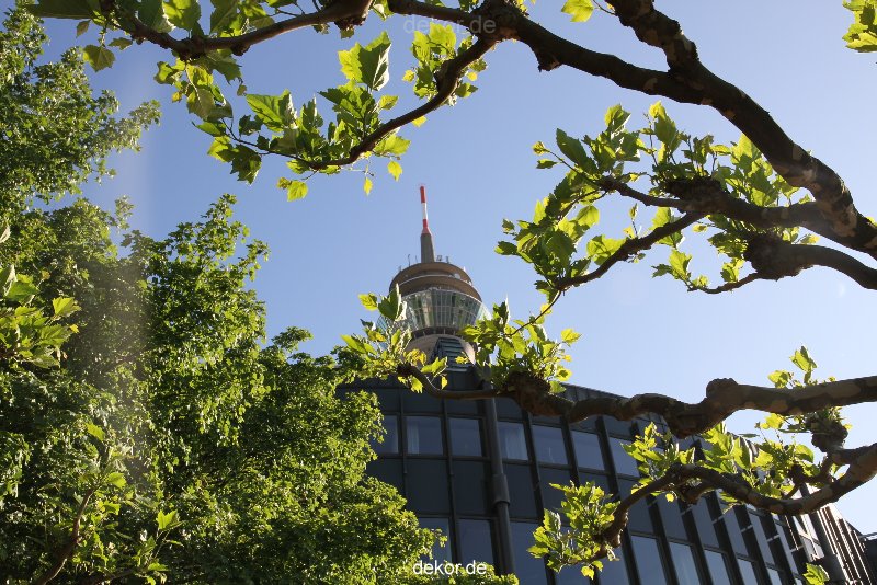 duesseldorf-medienhafen-medienhafen-rheinturm-001