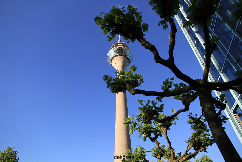 duesseldorf-medienhafen-rheinturm-064