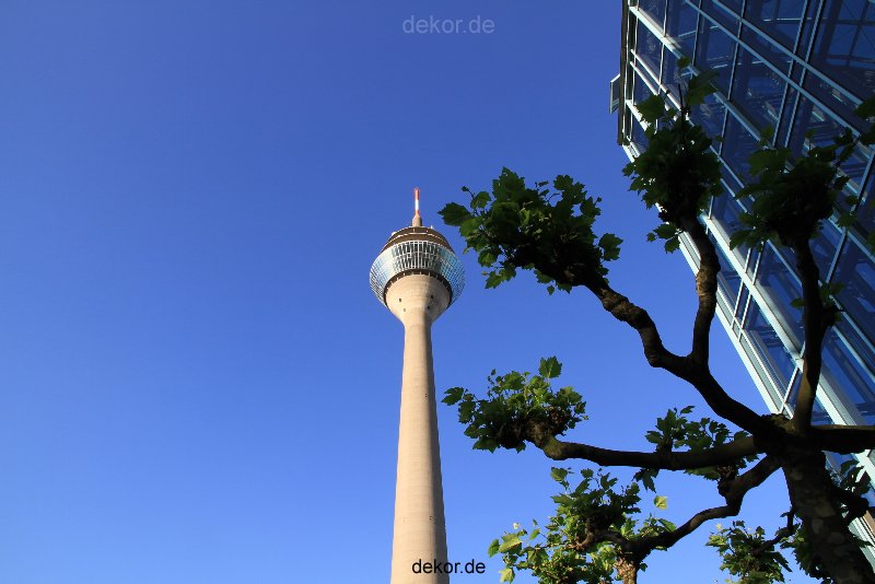 duesseldorf-medienhafen-rheinturm-067