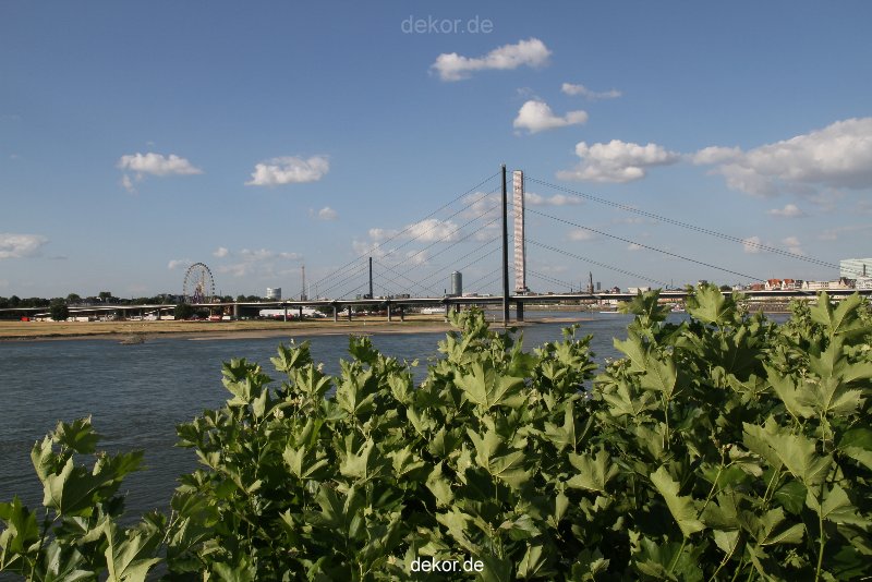 duesseldorf-altstadt-rheinpromenade2-039