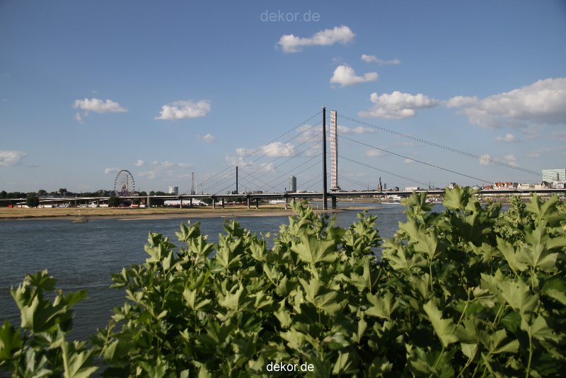 duesseldorf-altstadt-rheinpromenade2-040