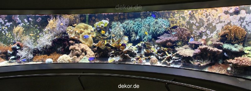 duesseldorf-aquazoo-panorama-001