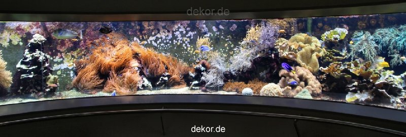duesseldorf-aquazoo-panorama-002