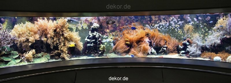 duesseldorf-aquazoo-panorama-003