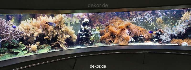 duesseldorf-aquazoo-panorama-005
