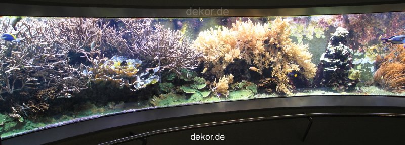 duesseldorf-aquazoo-panorama-006