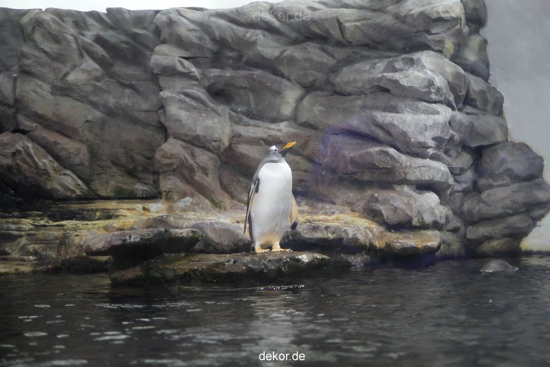duesseldorf-aquazoo-005