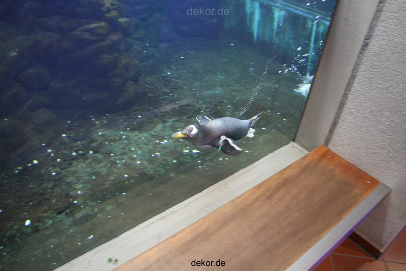 duesseldorf-aquazoo-012