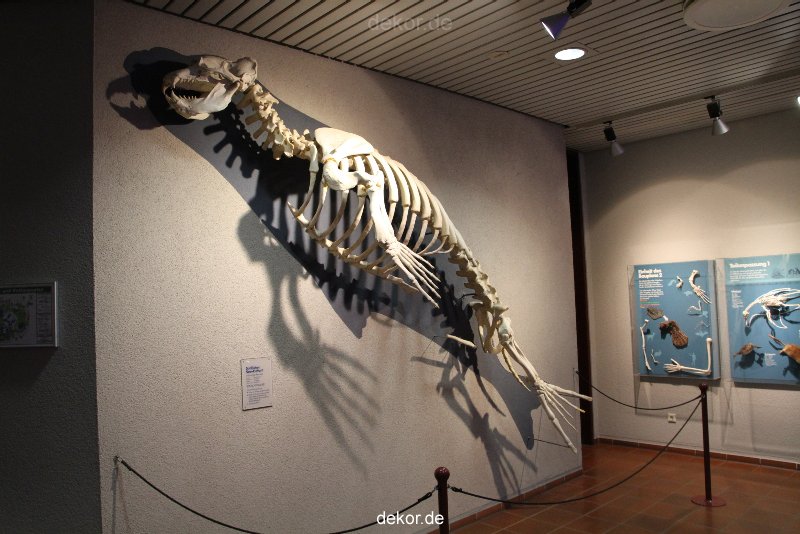 duesseldorf-aquazoo-014
