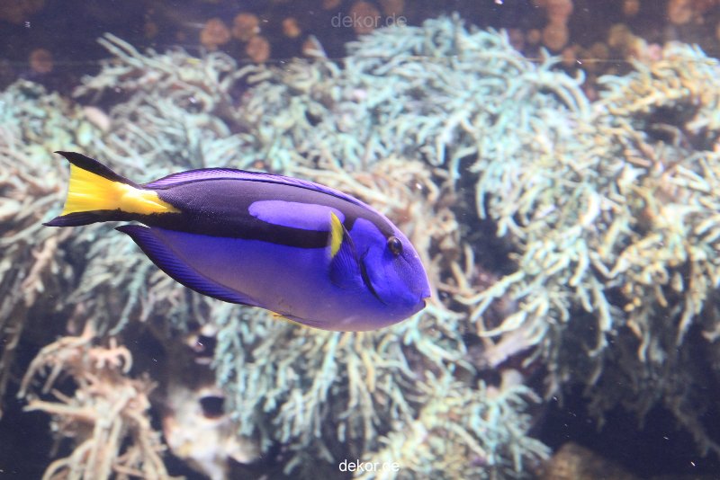 duesseldorf-aquazoo-052