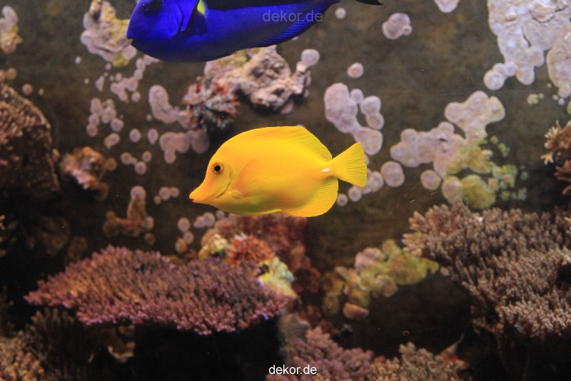 duesseldorf-aquazoo-053