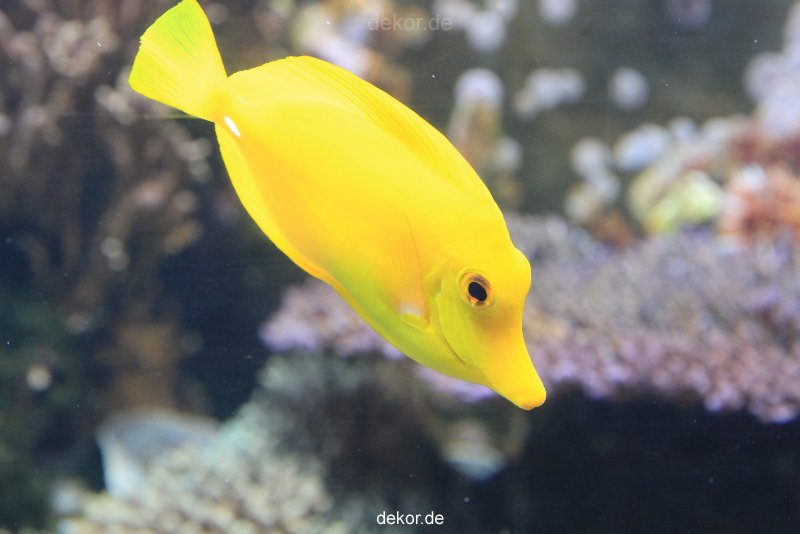 duesseldorf-aquazoo-058