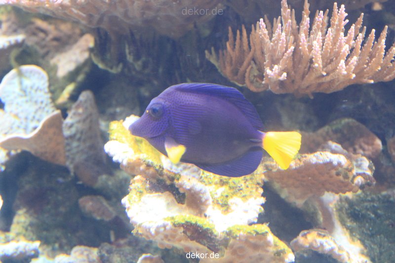duesseldorf-aquazoo-060