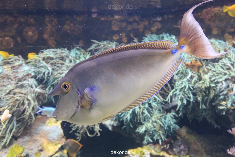 duesseldorf-aquazoo-064