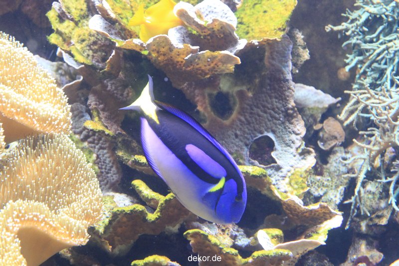 duesseldorf-aquazoo-068