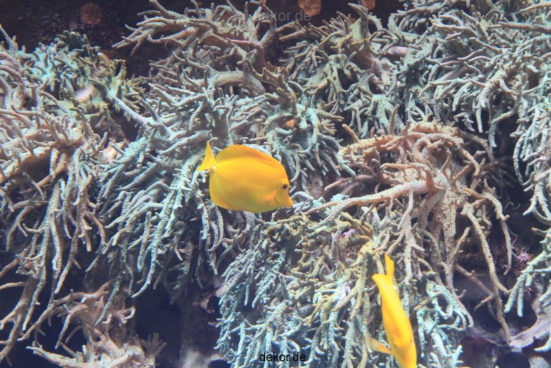 duesseldorf-aquazoo-069