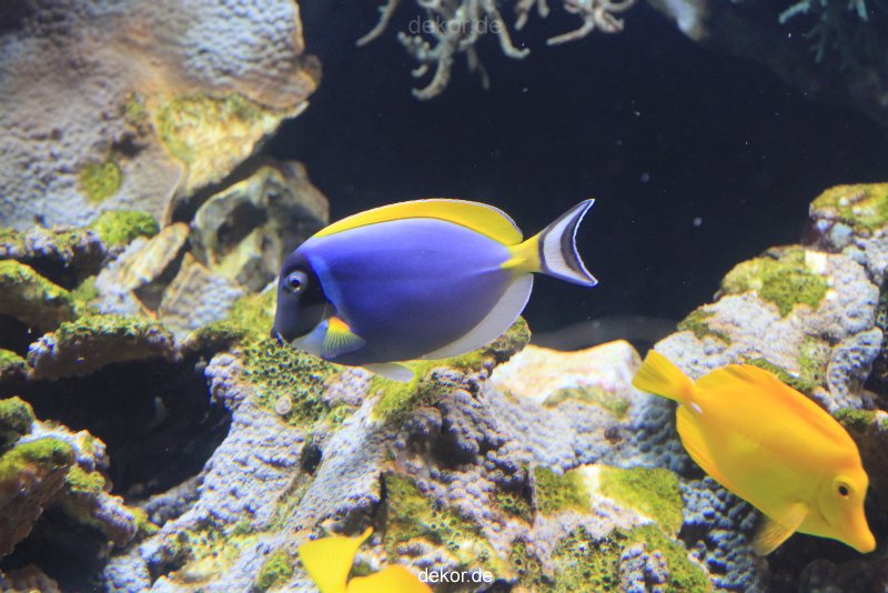 duesseldorf-aquazoo-071