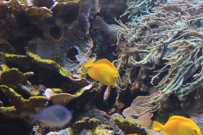 duesseldorf-aquazoo-073
