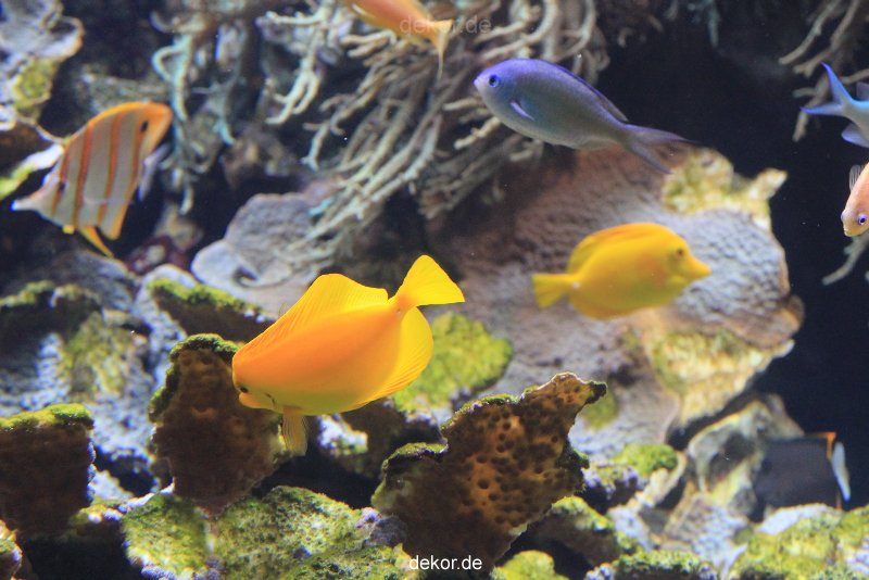 duesseldorf-aquazoo-074