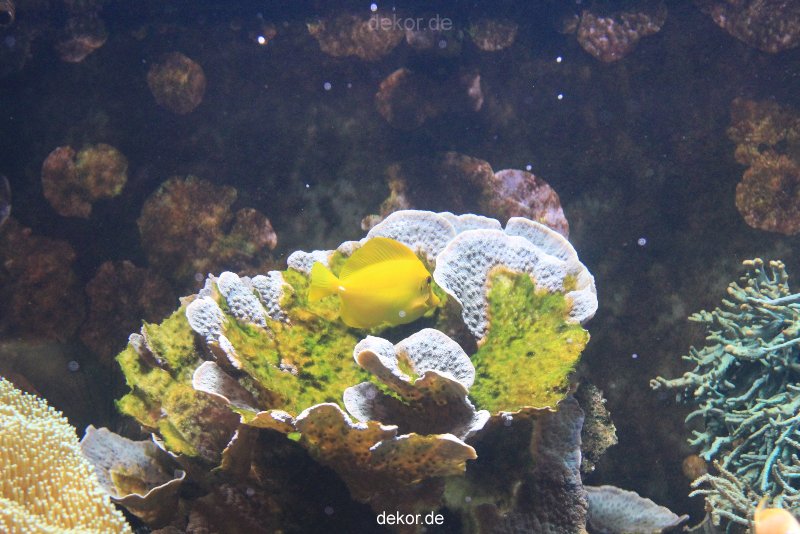duesseldorf-aquazoo-076