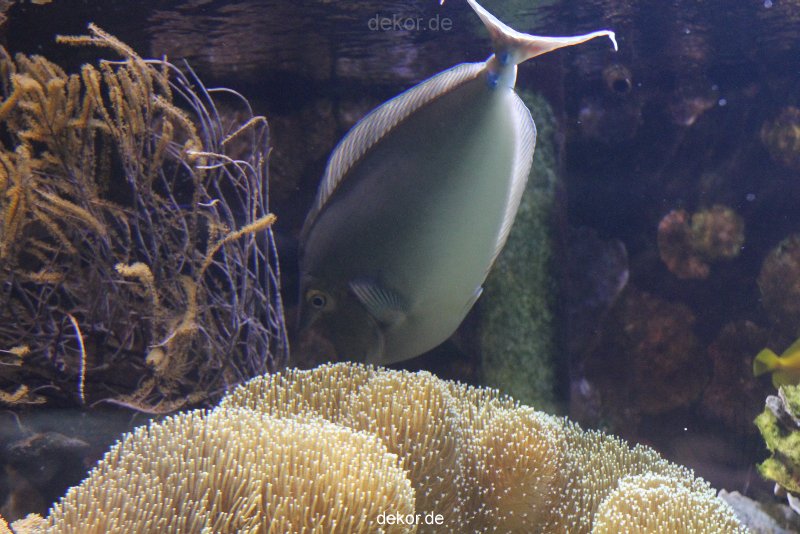 duesseldorf-aquazoo-077