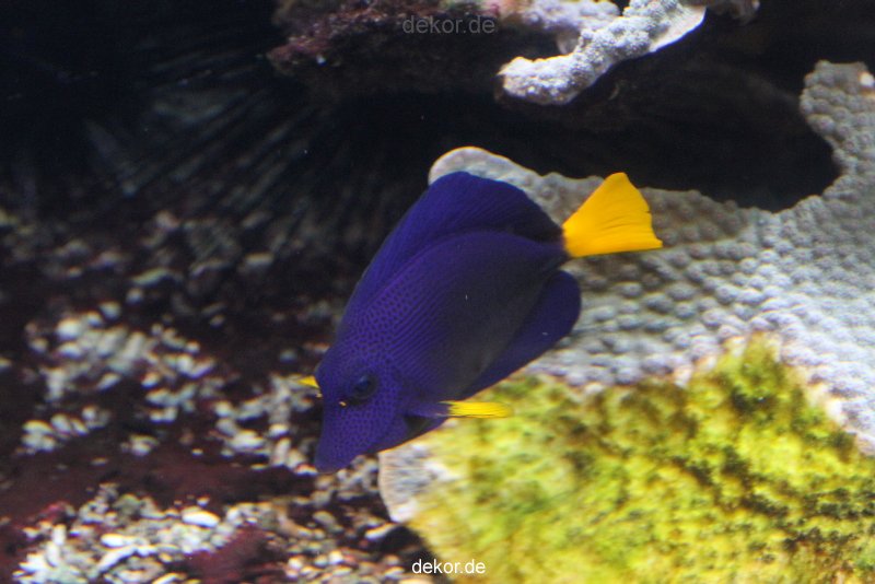duesseldorf-aquazoo-079
