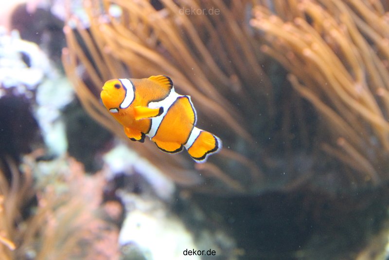 duesseldorf-aquazoo-088