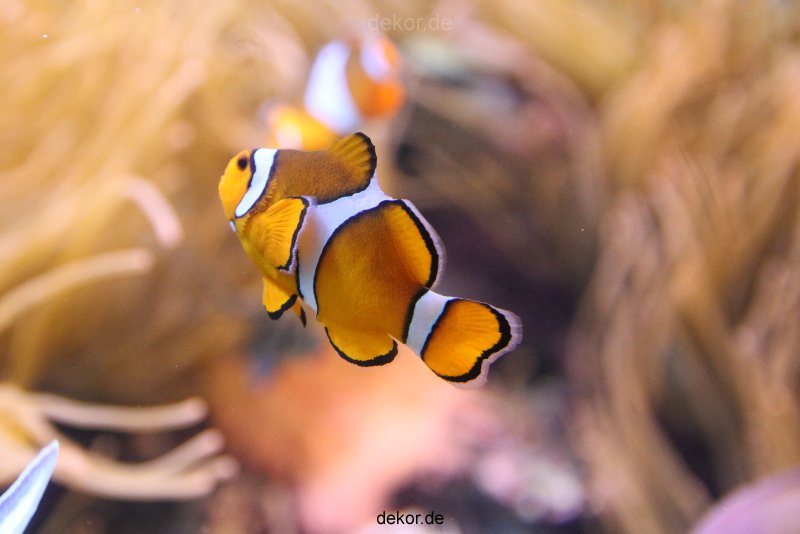 duesseldorf-aquazoo-093