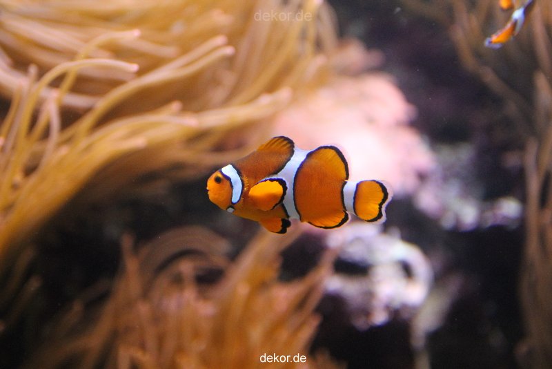 duesseldorf-aquazoo-095