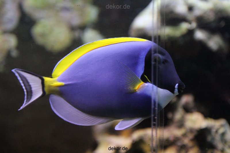 duesseldorf-aquazoo-098