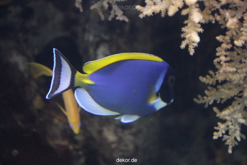 duesseldorf-aquazoo-099
