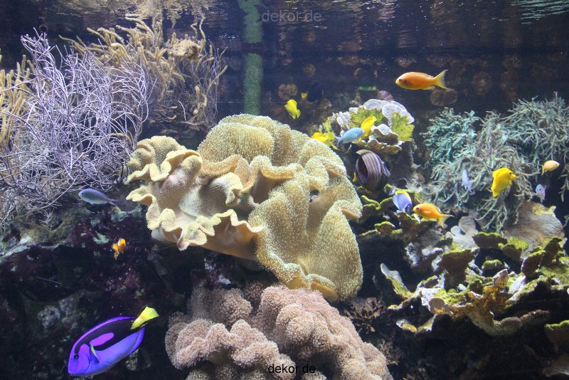 duesseldorf-aquazoo-104