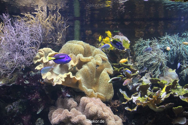 duesseldorf-aquazoo-105