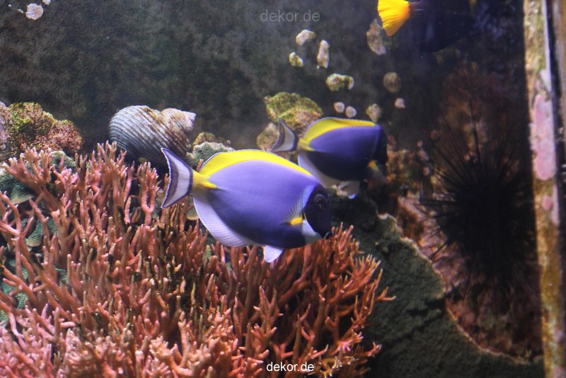 duesseldorf-aquazoo-109