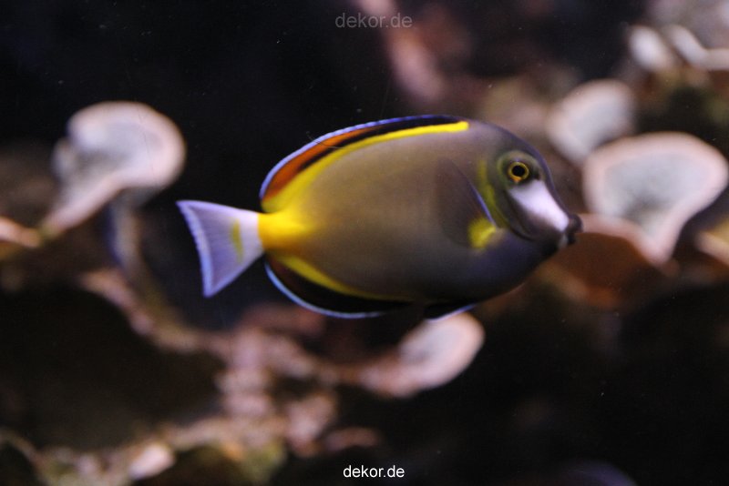 duesseldorf-aquazoo-130