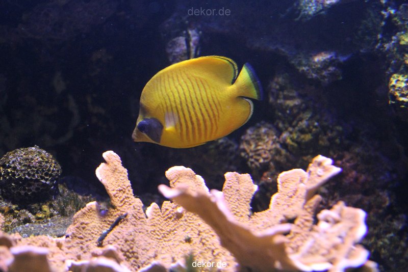 duesseldorf-aquazoo-135