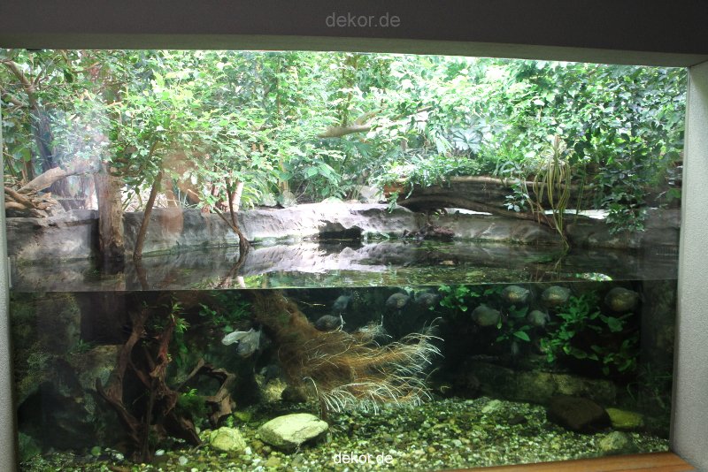 duesseldorf-aquazoo-158
