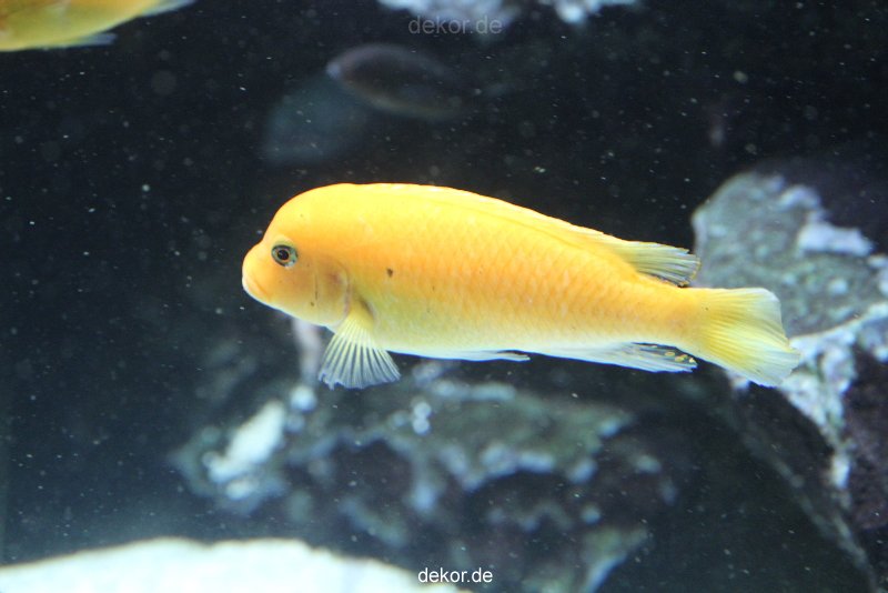 duesseldorf-aquazoo-166