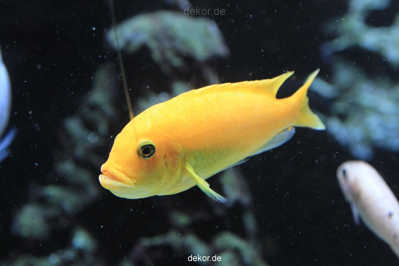 duesseldorf-aquazoo-167