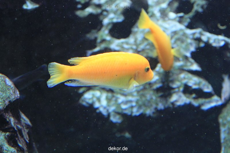 duesseldorf-aquazoo-169