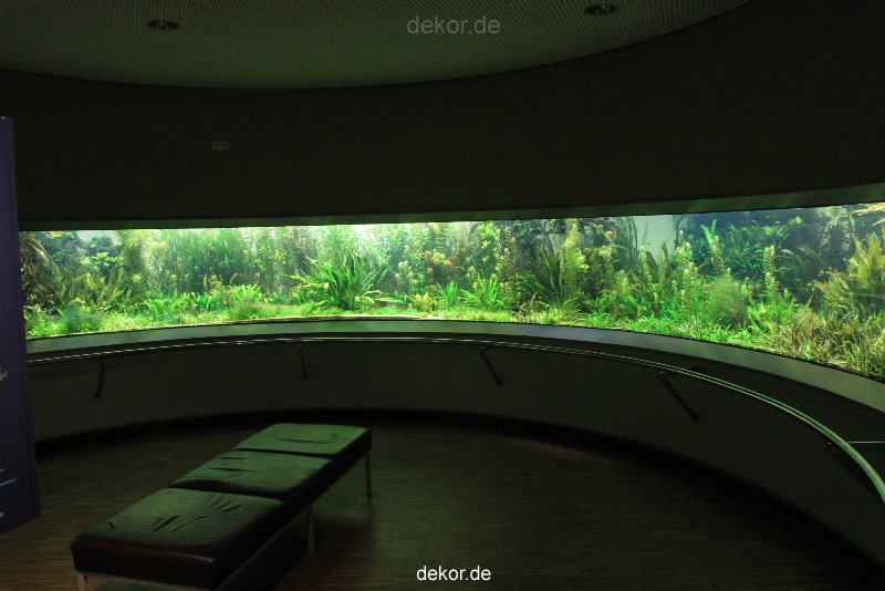 duesseldorf-aquazoo-199