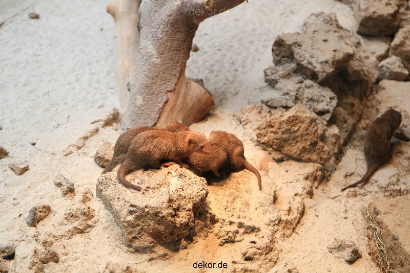duesseldorf-aquazoo-246
