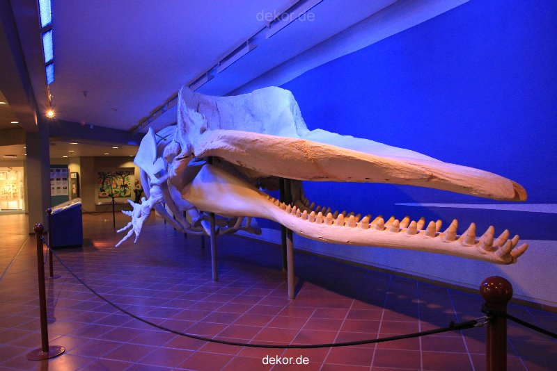 duesseldorf-aquazoo-255