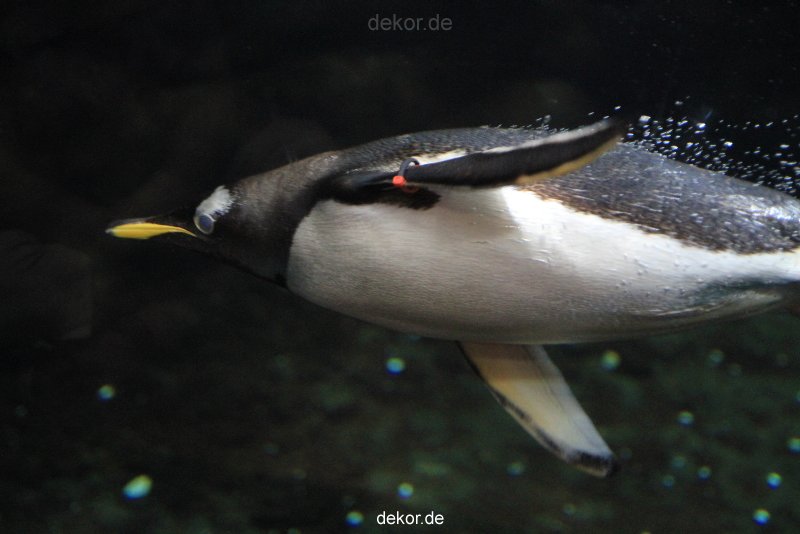 duesseldorf-aquazoo-257