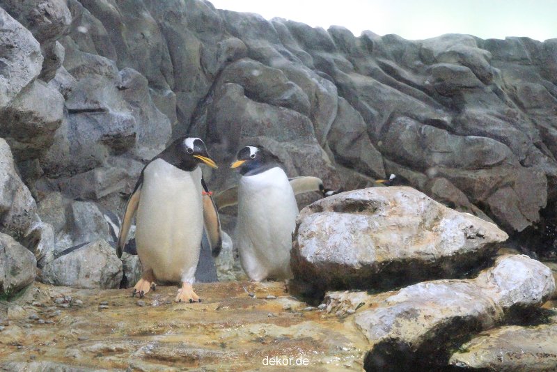 duesseldorf-aquazoo-261