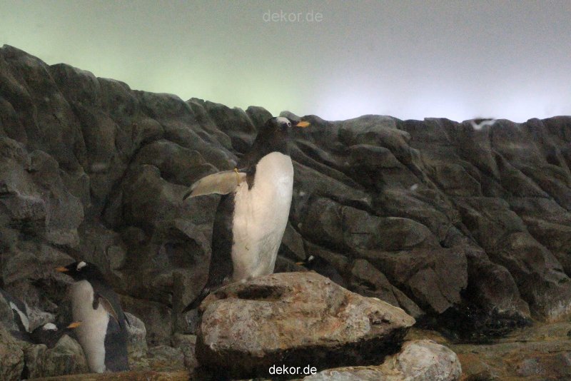 duesseldorf-aquazoo-263