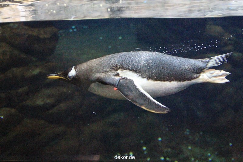 duesseldorf-aquazoo-267