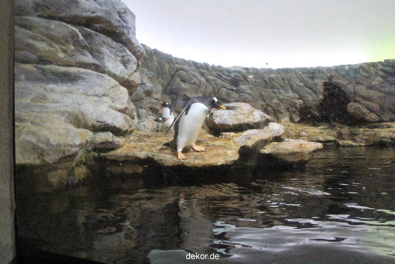 duesseldorf-aquazoo-270