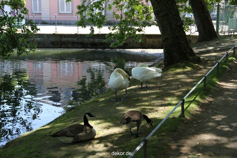duesseldorf-schloss-benrath-tiere-019